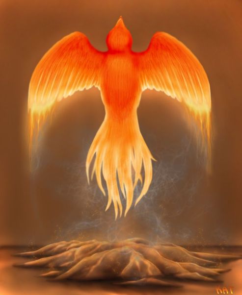 phoenix reborn by iron phoenix
